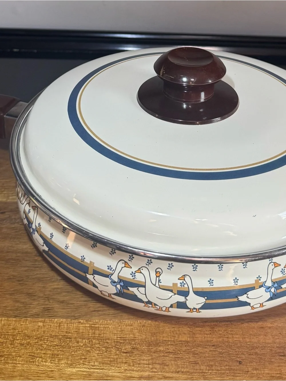 Vintage Country Goose Enamel 9
